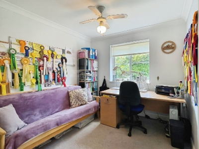 Picture 36
